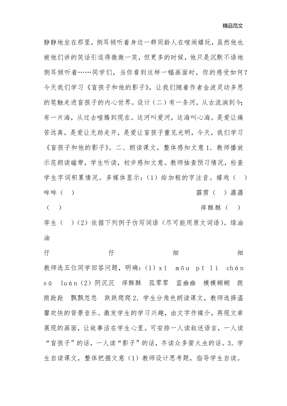 29 盲孩子和他的影子_七年级语文教案_第2页