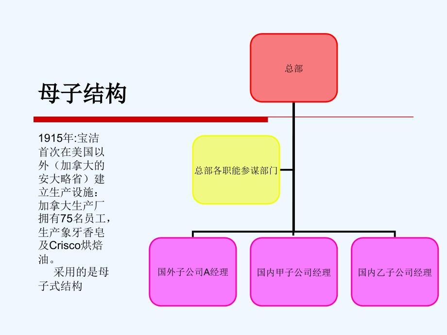 宝洁公司组织结构分析课件_第4页