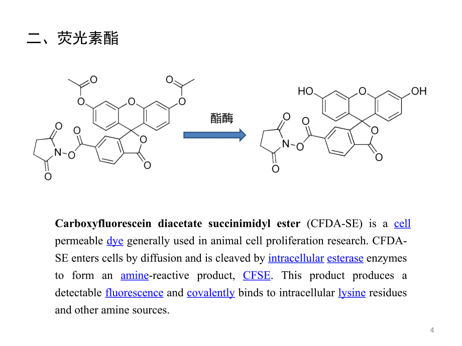 常用荧光探针小结课件_第4页