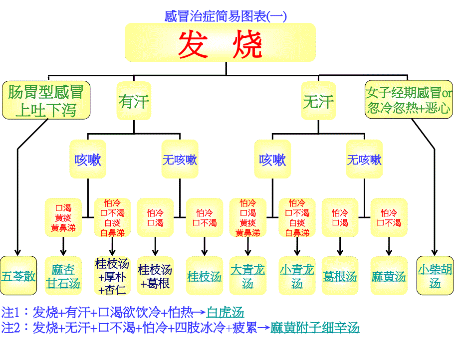 感冒经方使用图解课件_第1页