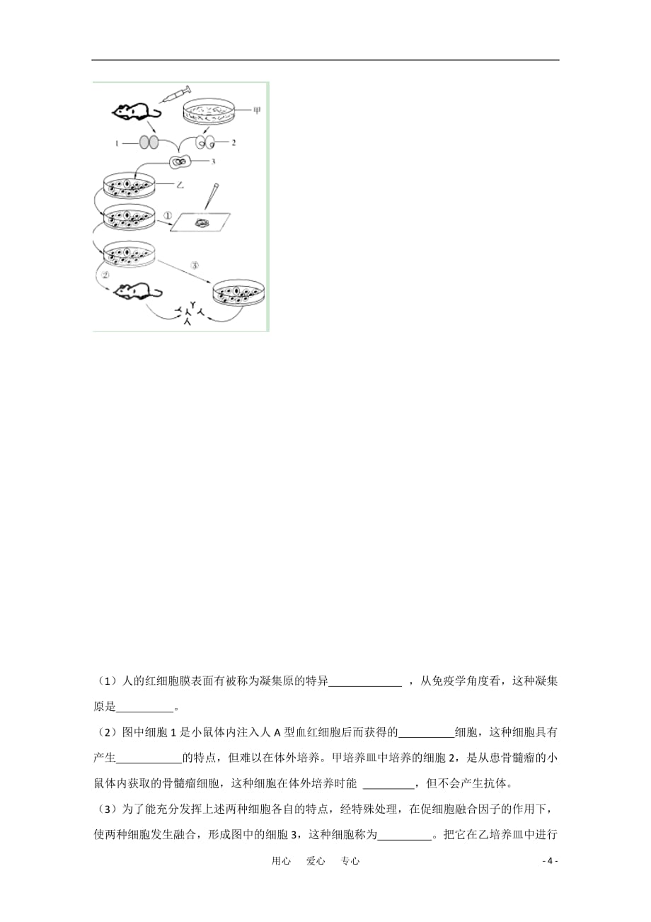 2011高考生物 总复习限时自测40_第4页