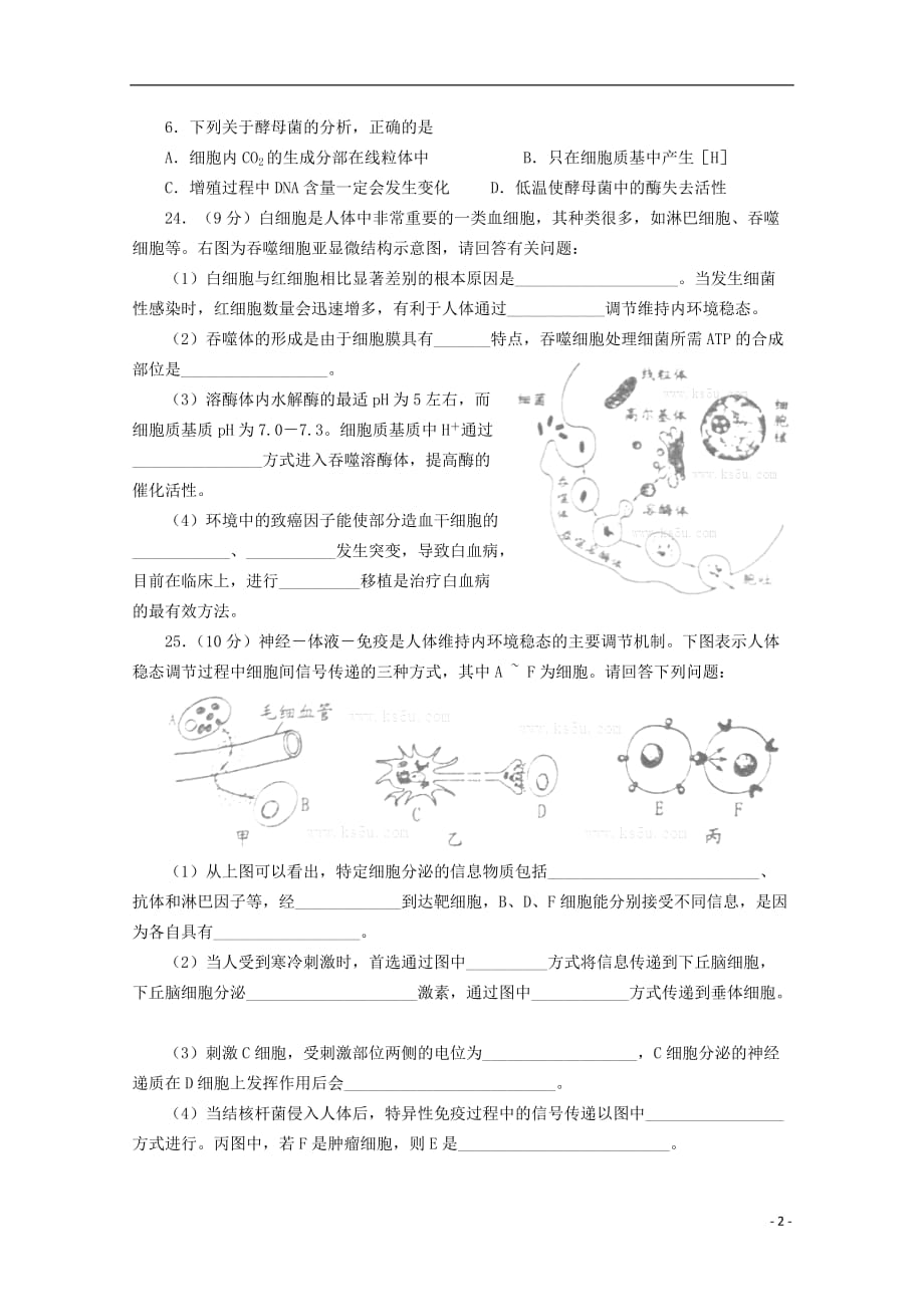 山东省潍坊市2013届高三理综第三次模拟考试试题（潍坊三模B卷生物部分）新人教版_第2页