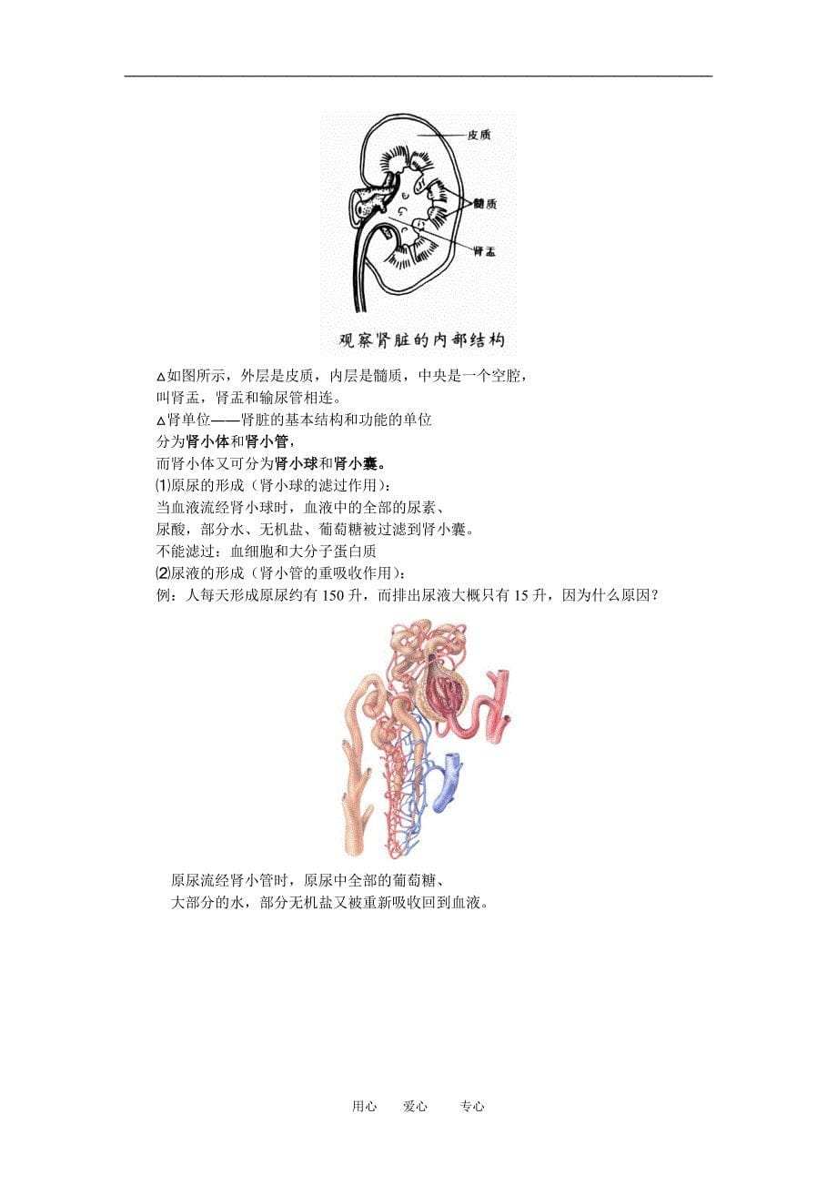 九年级自然科学体内物质的运输；能量的获得浙江版知识精讲_第5页