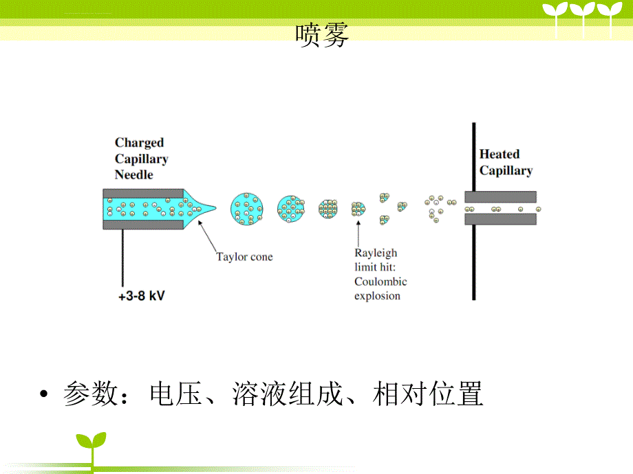 电喷雾质谱图文课件_第4页