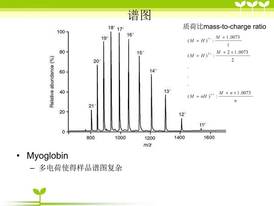 电喷雾质谱图文课件_第5页