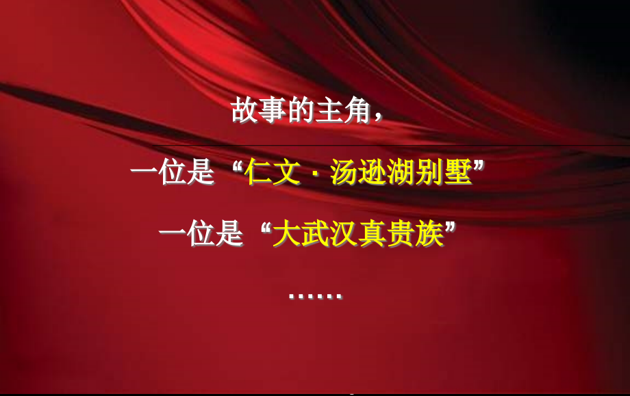 伟业顾问_湖北武汉汤逊湖高端豪宅别墅项目营销推广报告_102页_XXXX年_第2页