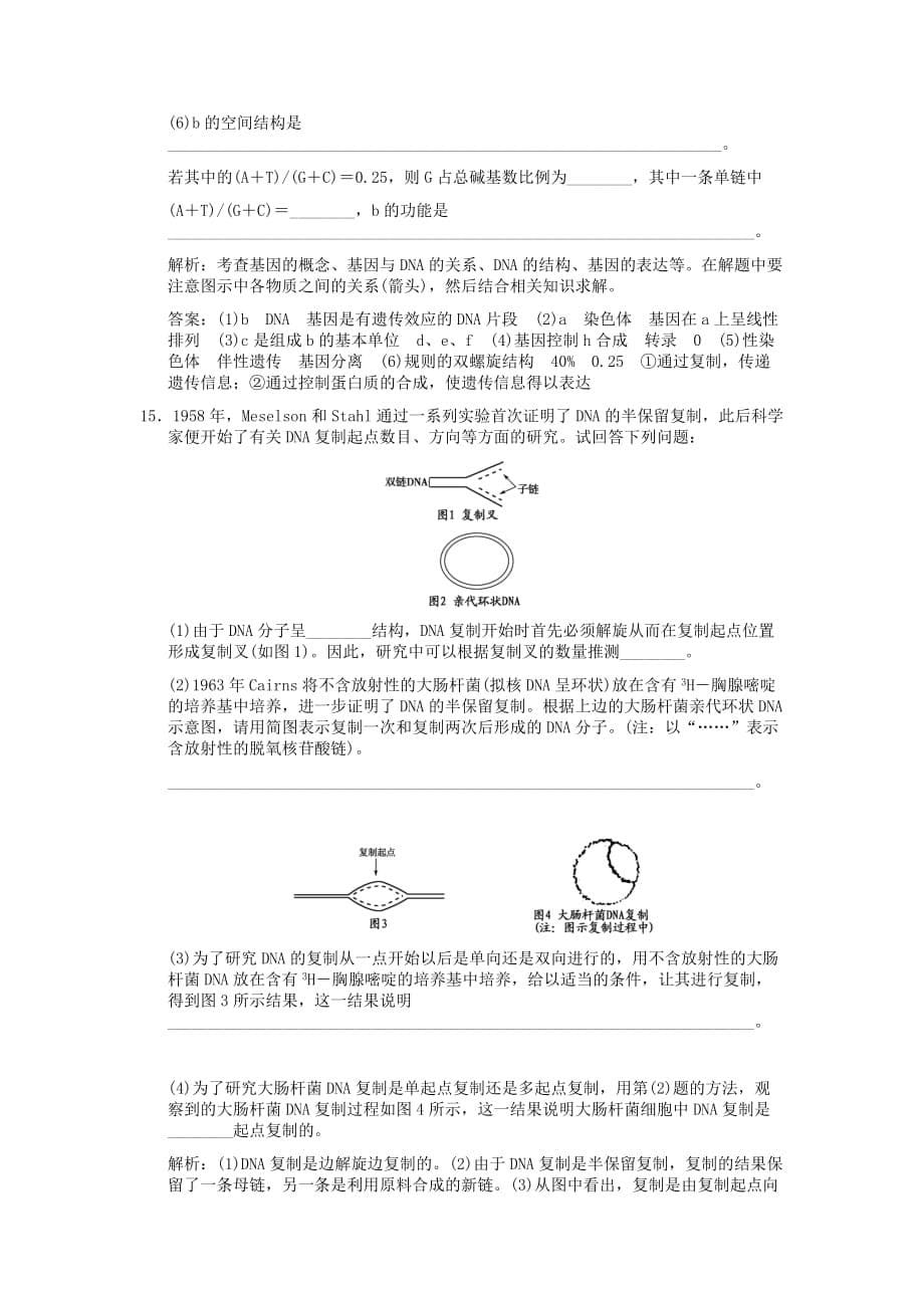 【创新设计】2011届高考生物一轮复习 3-1-2、3 DNA的分子结构和复制作业手册 中图版必修2_第5页