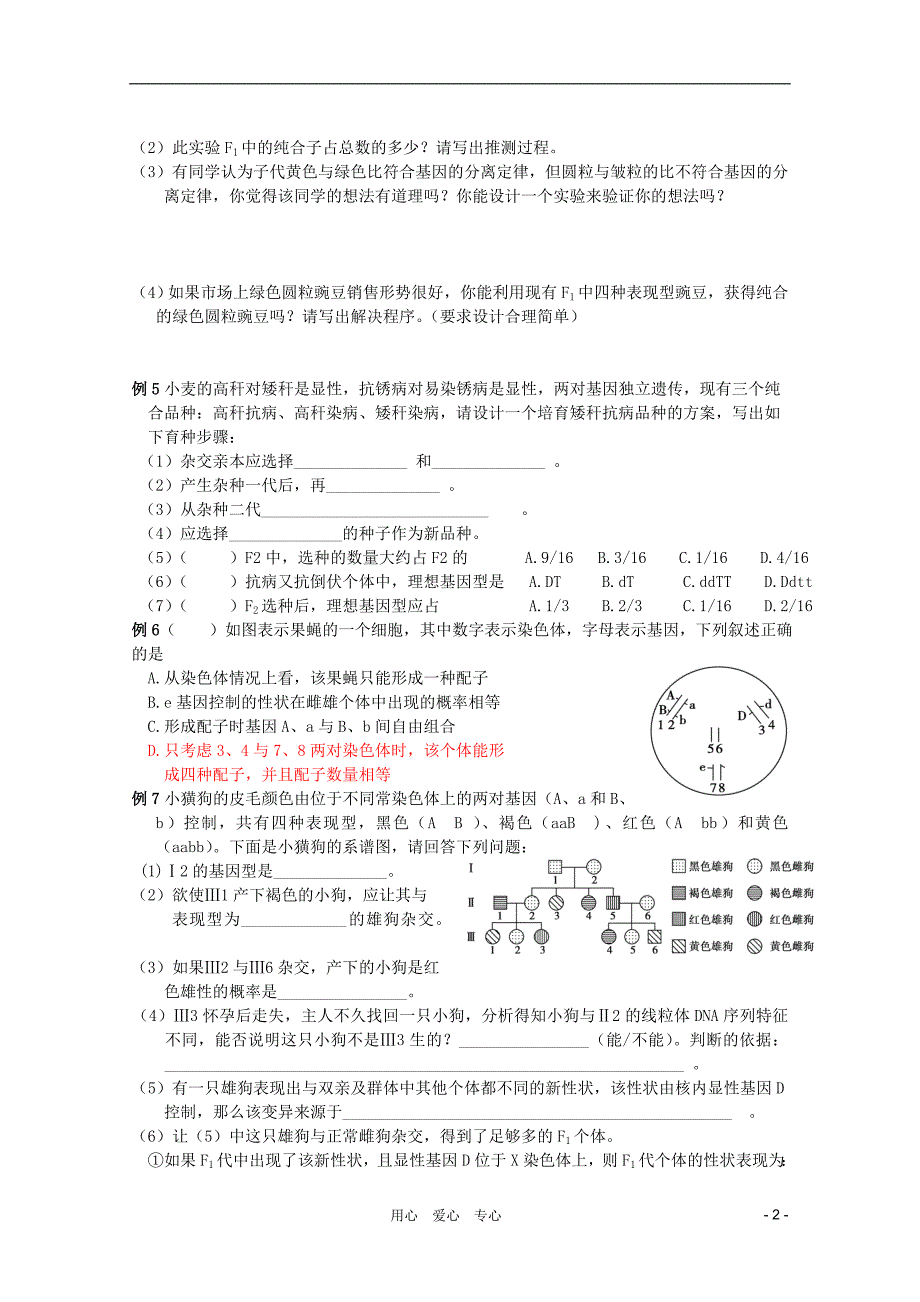 2012高考生物专题复习 遗传的基本规律专题教案_第2页