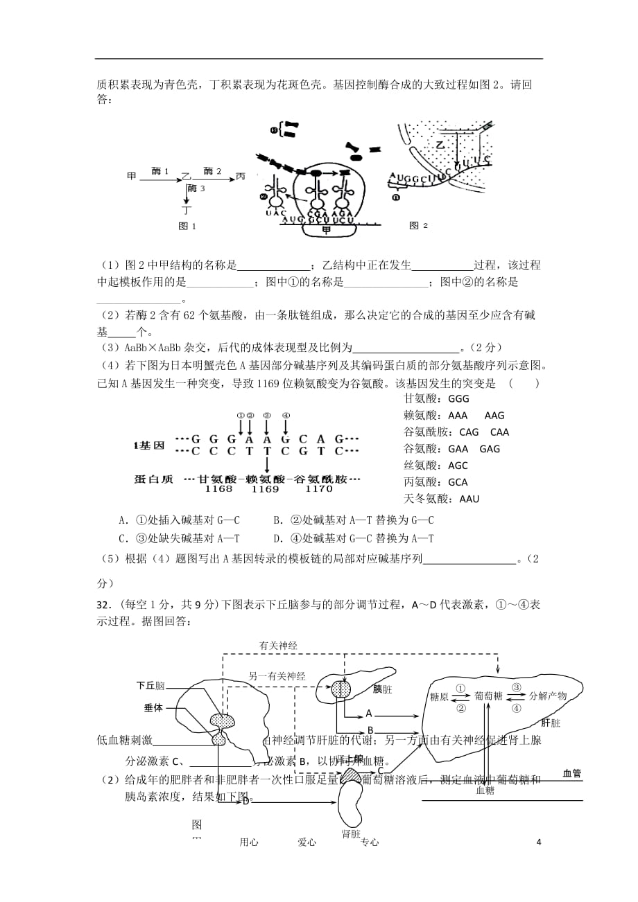 湖南省2012届高三生物第二次周考试题【会员独享】_第4页