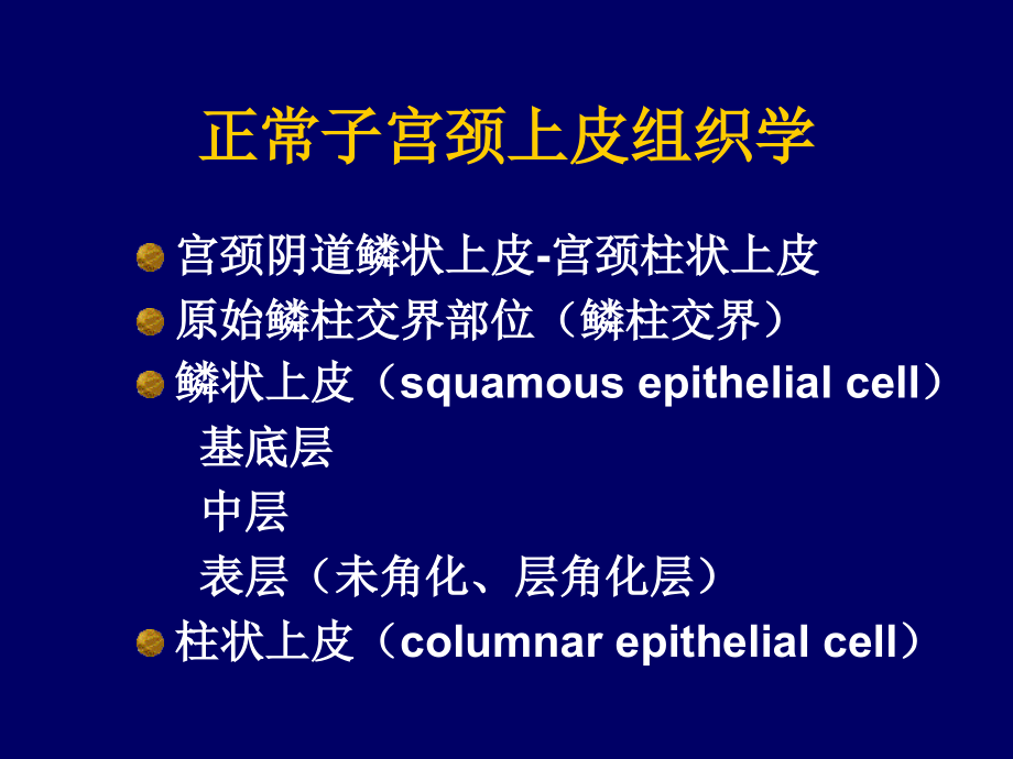 子宫颈上皮内瘤变(CIN)和子宫颈癌_第2页