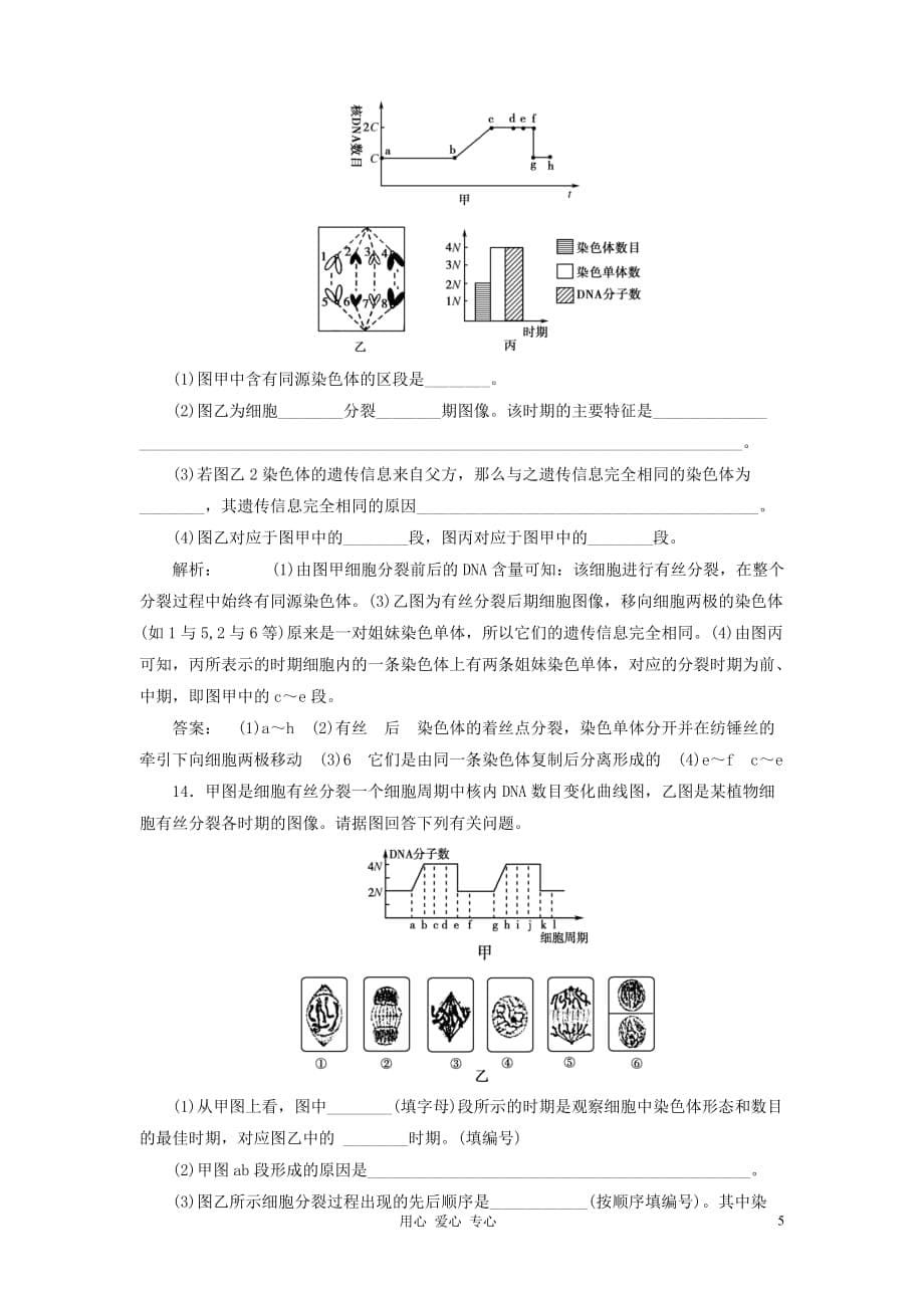 【金版新学案】2012高考生物总复习检测 第6章第1节　细胞的增殖 新人教版必修1_第5页