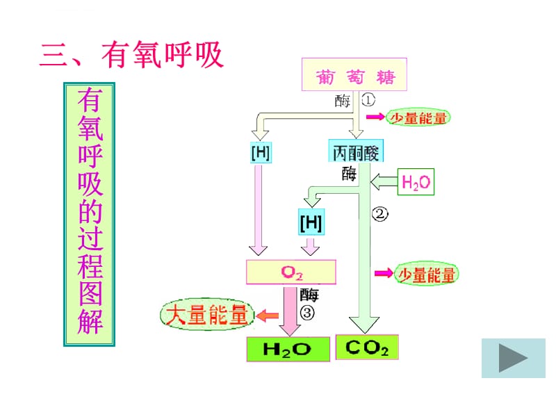 有氧呼吸过程演示集锦课件_第4页