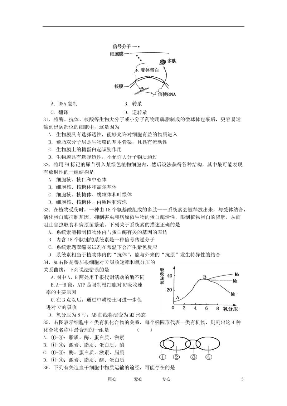 浙江省余姚市2013届高三生物上学期期中考试试题新人教版_第5页