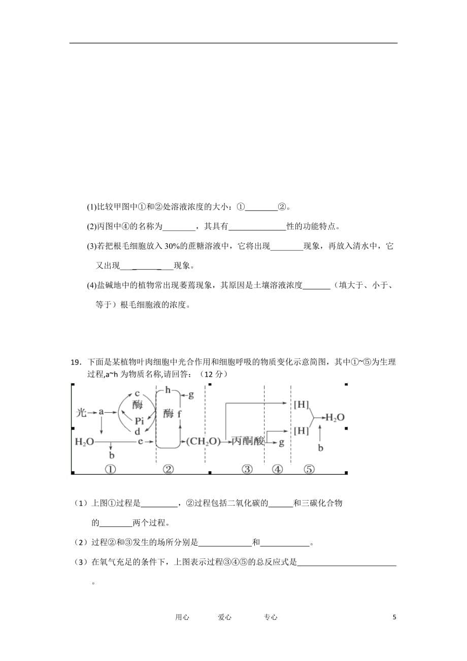 广东省龙川一中11-12学年高一生物上学期期末考试题【会员独享】_第5页