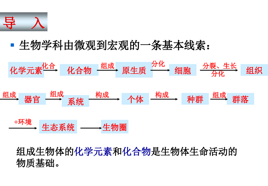 组成细胞的分子(综合)课件_第3页