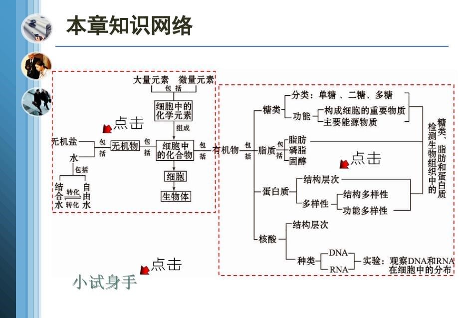 组成细胞的分子(综合)课件_第5页