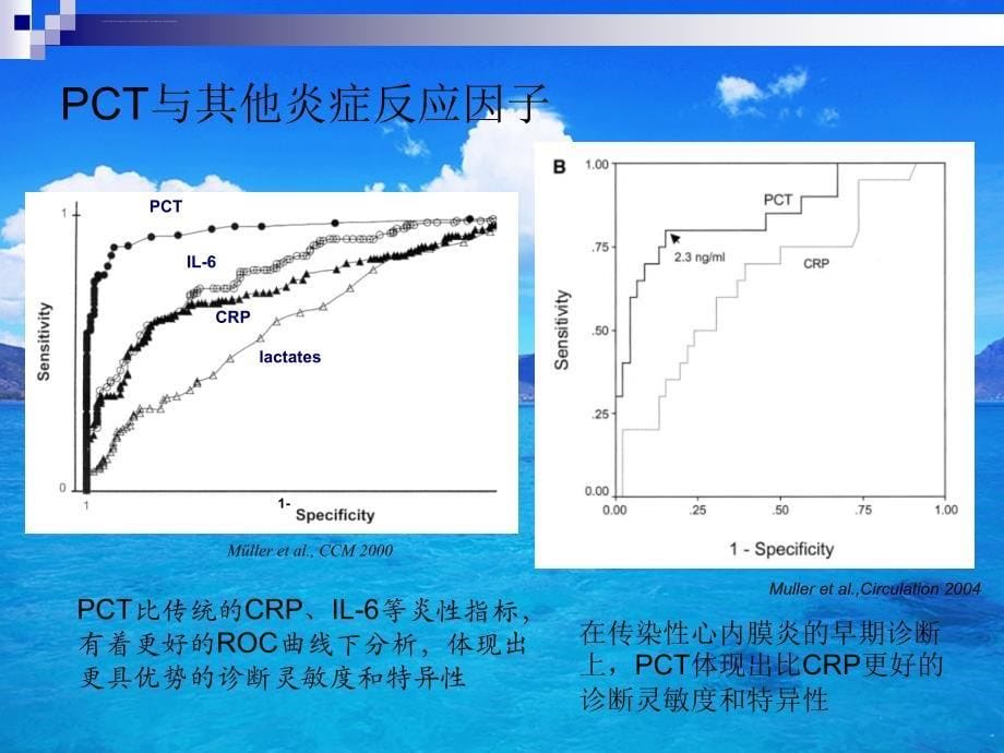 降钙素原临床意义 课件_第5页