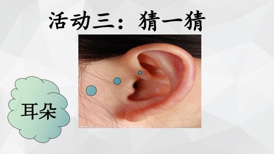 苏教版一年级上册科学4.《认识感官》课件_第5页