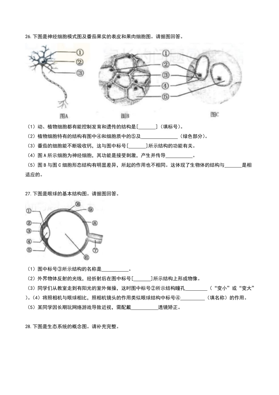 湖南省长沙市2017中考生物试题(含答案)2019生地会考必备_第4页