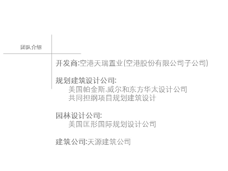 MAX项目营销策划报告4_第4页