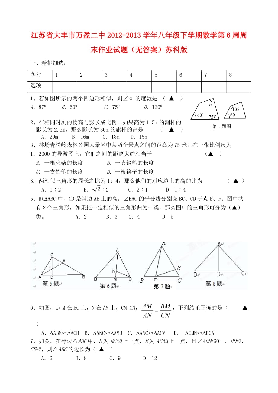 江苏省大丰市万盈二中2012-2013学年八年级下学期数学第6周周末作业试题（无答案）苏科版_第1页