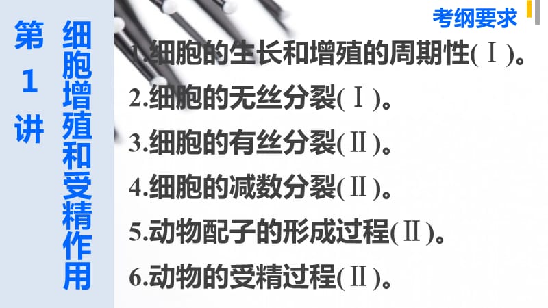 2015届高考生物(全国通用)二轮专题突破课件专题三细胞的生命历程第1讲_第2页