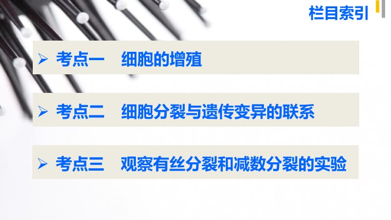 2015届高考生物(全国通用)二轮专题突破课件专题三细胞的生命历程第1讲_第4页