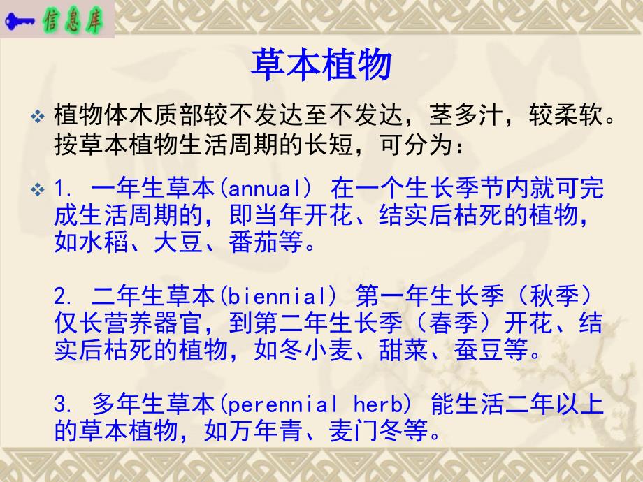 三认识上海地区的常见植物ppt课件_第4页
