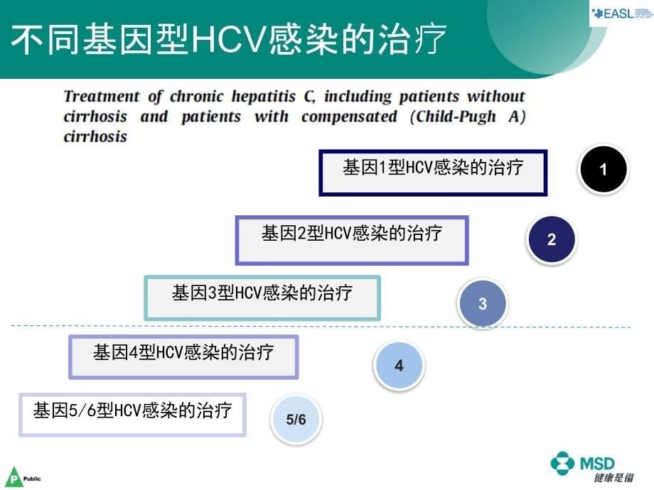 2015EASL丙肝指南解读(下)ppt课件_第5页