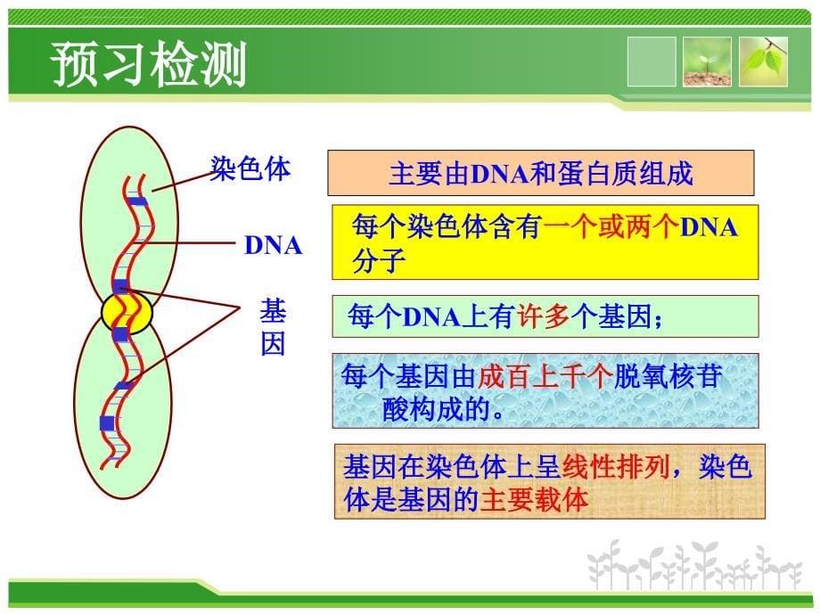 基因表达高三复习mhppt课件_第5页