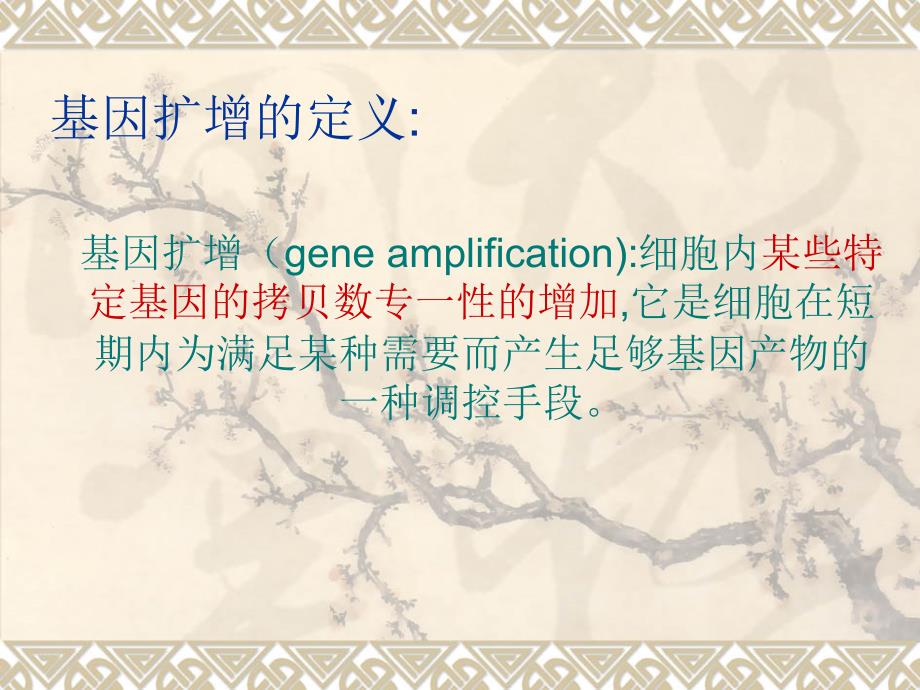 基因扩增与重排ppt课件_第2页