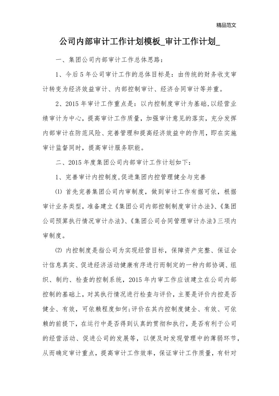 公司内部审计工作计划模板_审计工作计划__第1页