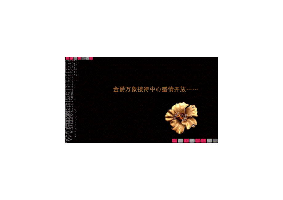 金爵万象2012全年活动规划_第3页