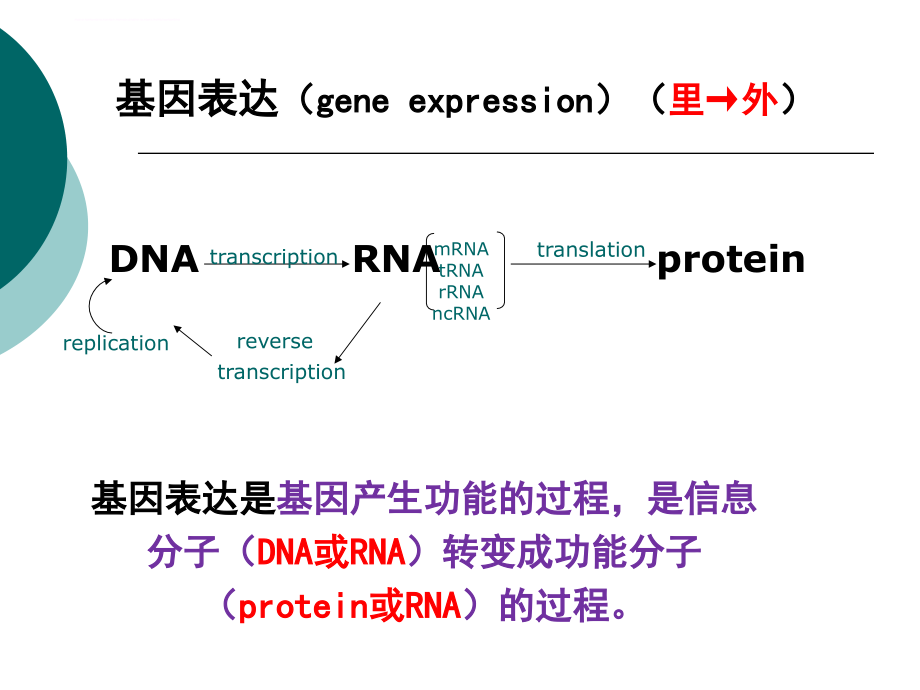 分子生物学-表达调控ppt课件_第4页