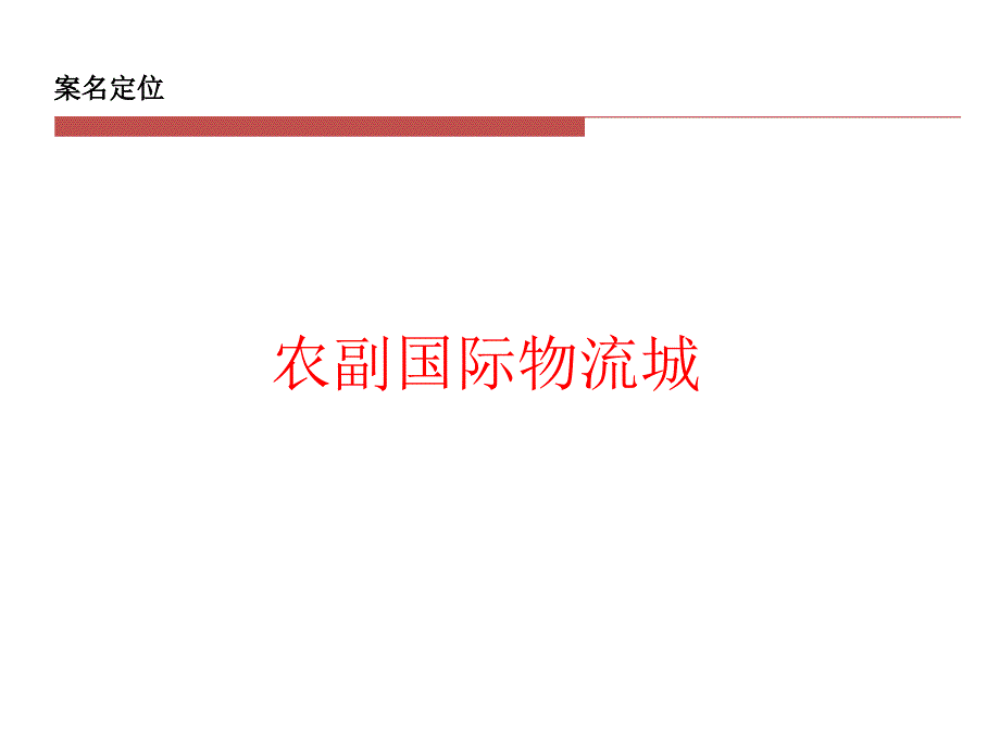 农副国际物流城招商执行报告_第4页