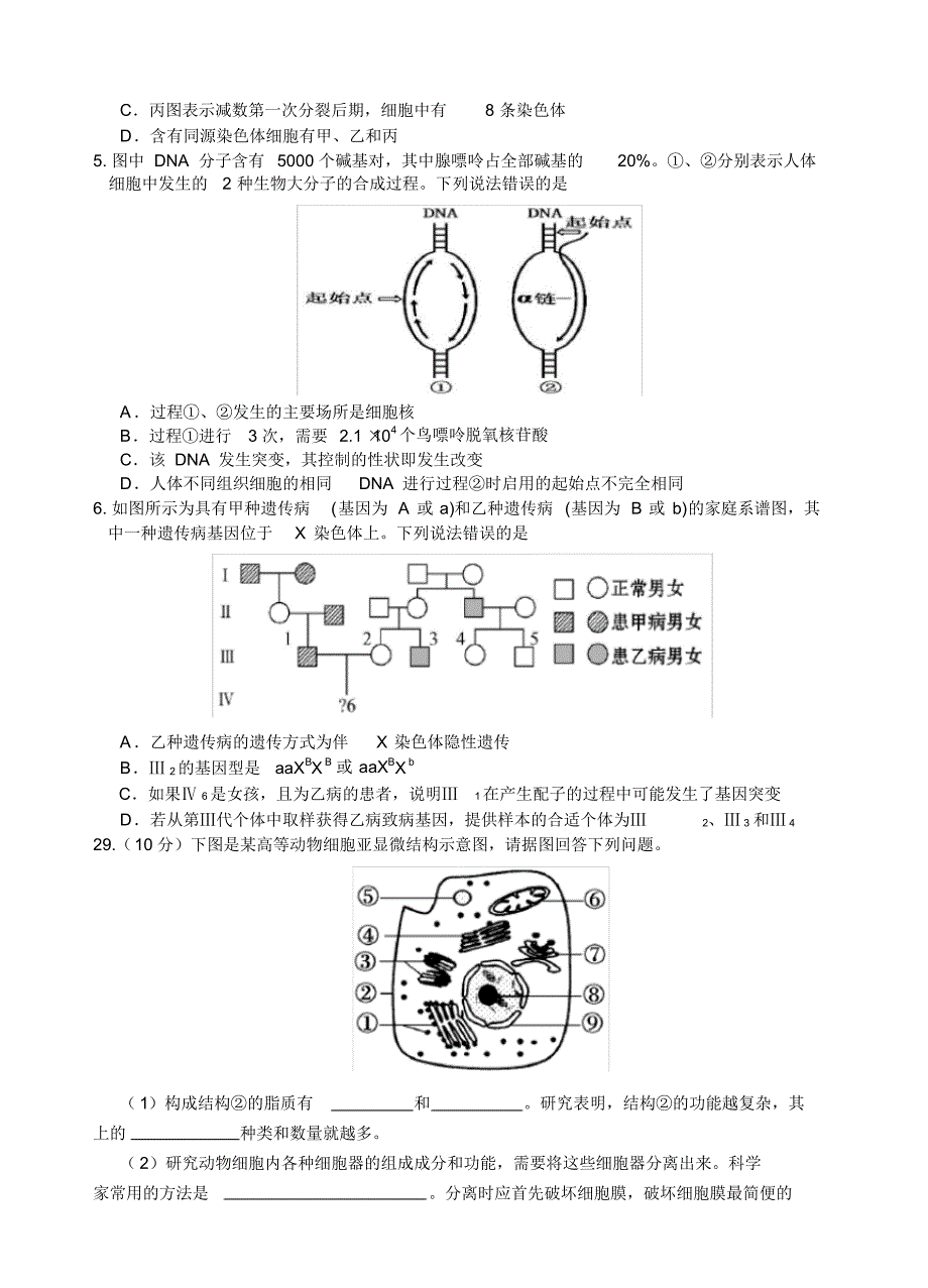 高三上学期12月四校联考理综生物试题含答案_第2页