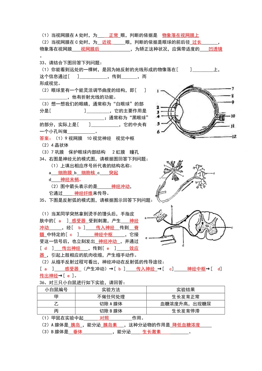 七年级生物下第六章人体生命活动的调节期末复习题及答案doc_第3页