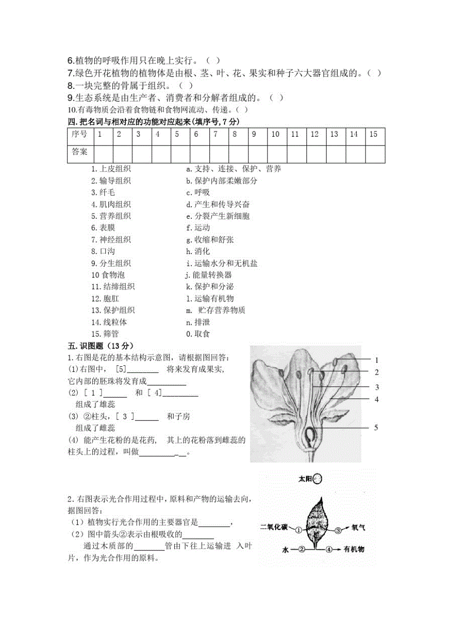 2640编号七年级生物上册期末试卷和答案(1)_第3页