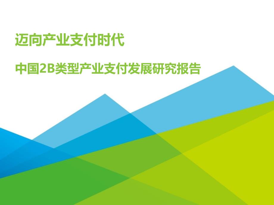 中国2B类型产业支付发展研究报告_第1页