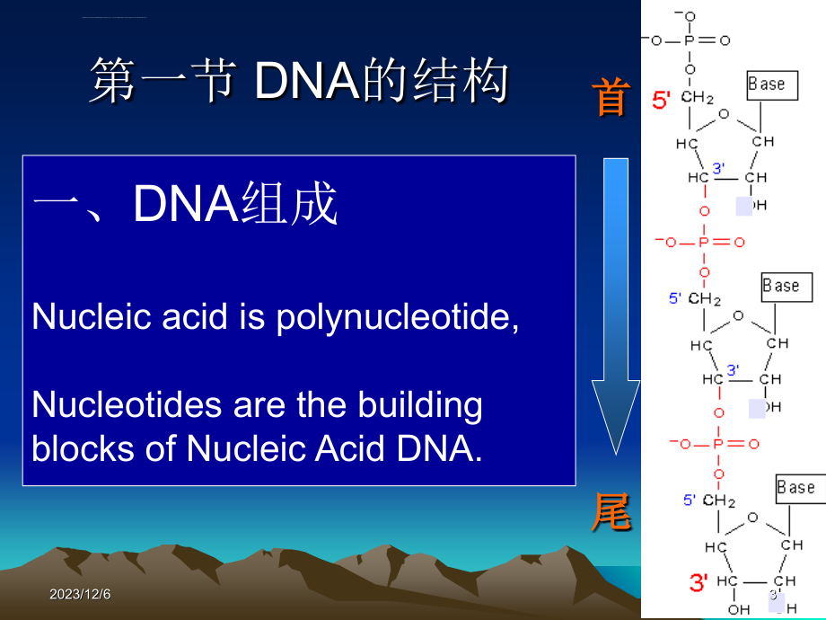 基因工程第二章DNA重组技术ppt课件_第3页