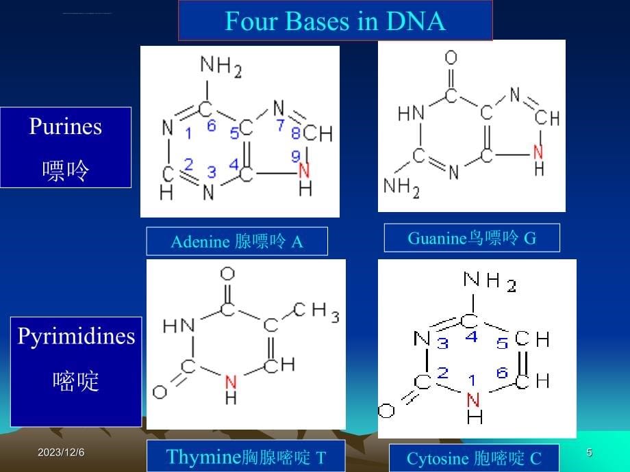 基因工程第二章DNA重组技术ppt课件_第5页