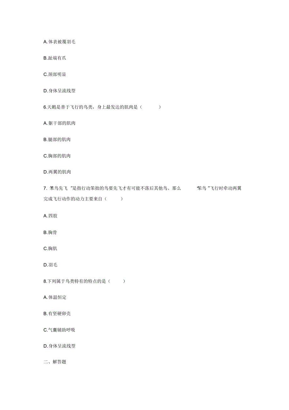 作业设计A--《鸟》_第3页