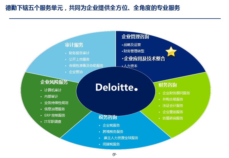 德勤公司业务简介_第4页