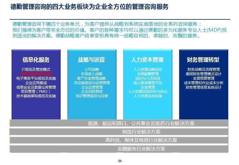 德勤公司业务简介_第5页