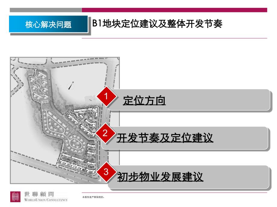 远洋地产远洋城核心区高端地块定位及营销策略全案报_第2页