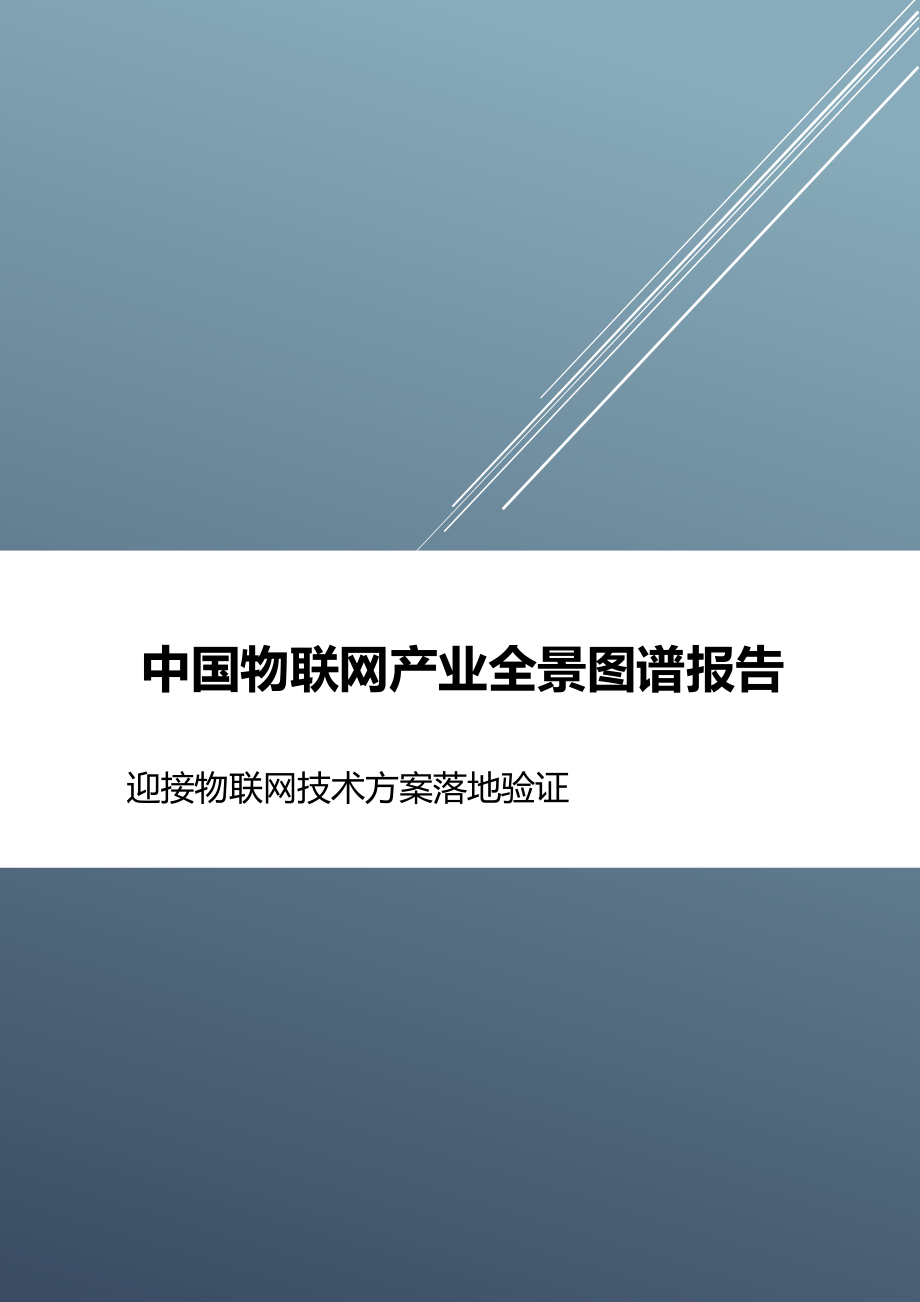 中国物联网产业全景图谱报告v1_第1页