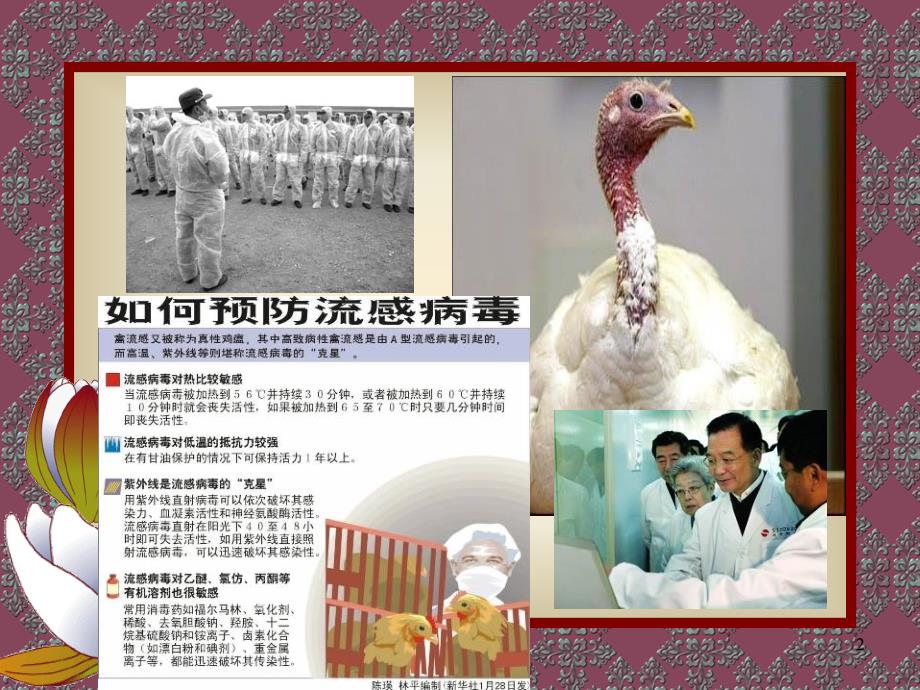 禽兽疫病防治与食品安全课件_第2页