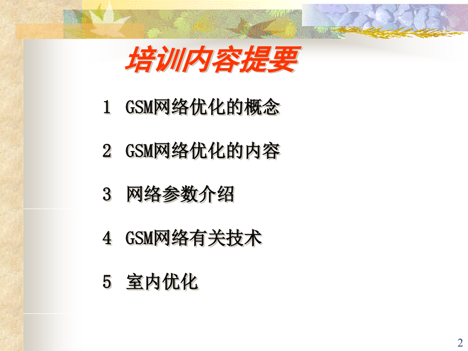 GSM优化基础知识培训PPT幻灯片_第2页