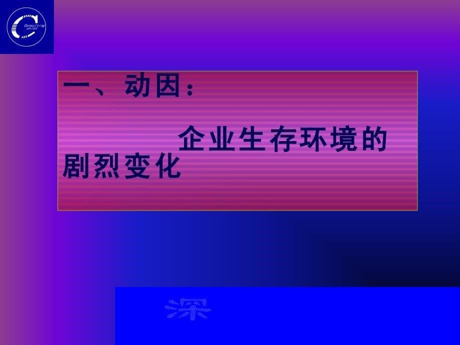 企业变革与创业管理——21世纪成功之路_第5页