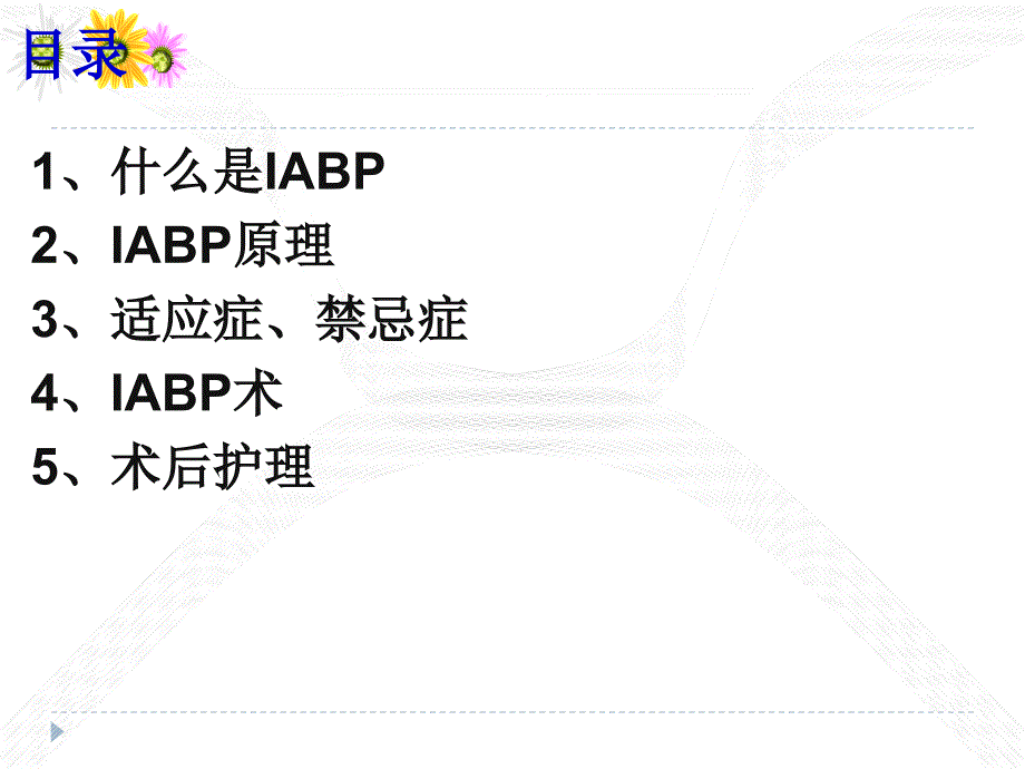 主动脉内球囊反搏(IABP)课件_第2页